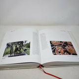 Biennale Internazionale Dell'Arte Contemporanea Citta Di Firenze Sesta Edizione Hardcover Book with Dust Jacket