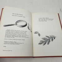 Vintage Through the Magnifying Glass Little Things Make Big Difference HC Book